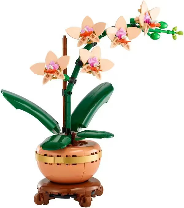 Flowers and Plants